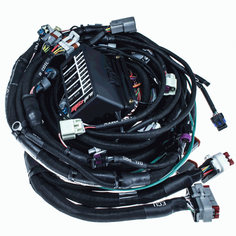 MS3Ph-LS58XEV6-3-768x768.gif